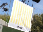 Field Day_Music Festival